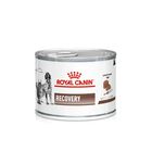 Royal Canin Veterinary Diet Dog e Cat Recovery 195 gr