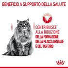 Royal Canin Cat Adult Dental Care 400 gr