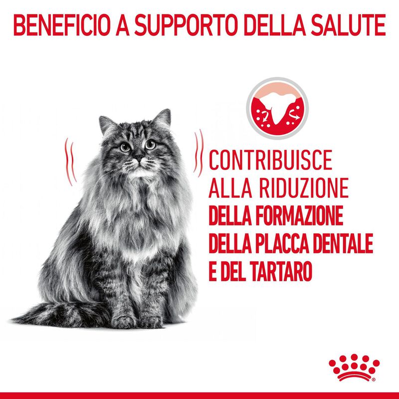Royal Canin Cat Adult Dental Care 400 gr