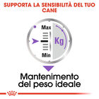 Royal Canin Dog Adult Sterilised 85 gr Royal Canin Dog Adult Sterilised 85 gr