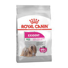Royal Canin  Dog Adult Mini Exigent 3 kg image number 0