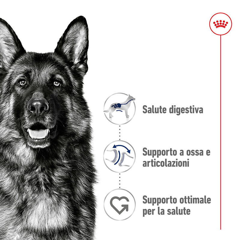 Royal Canin Dog Maxi Adult 4 kg