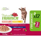 Natural Trainer Cat Adult al Pollo e Salmone 12 pz x 85 gr