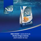 Farmina N&D Ocean Dog Adult Medium & Maxi Aringa e Arancia 2,5 kg