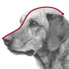 Trixie Museruola per cani in plastica Tg. S