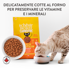 Schesir Born Carnivore Cat Adult Pollo con Uovo 255gr