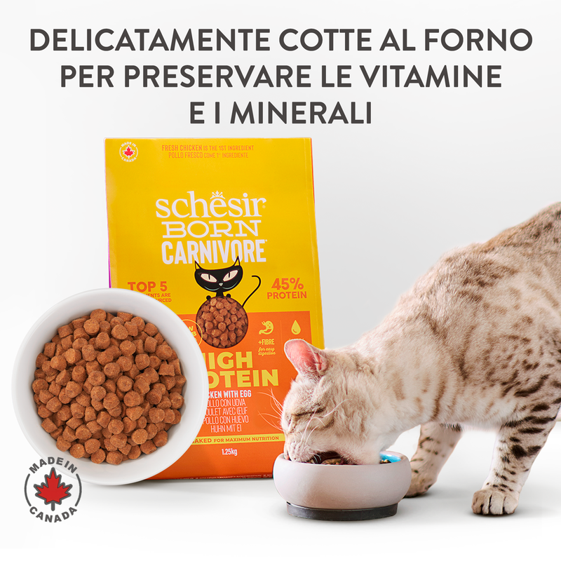 Schesir Born Carnivore Cat Adult Pollo con Uovo 255gr