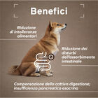 Forza10 active vet Diet Dog Intestinal Colon al Pesce 390 gr