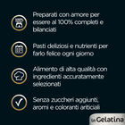 Cesar Dog Delizie del Giorno Multipack Pollo e Carote e Manzo e Verdure in Gelatina 4x100 gr