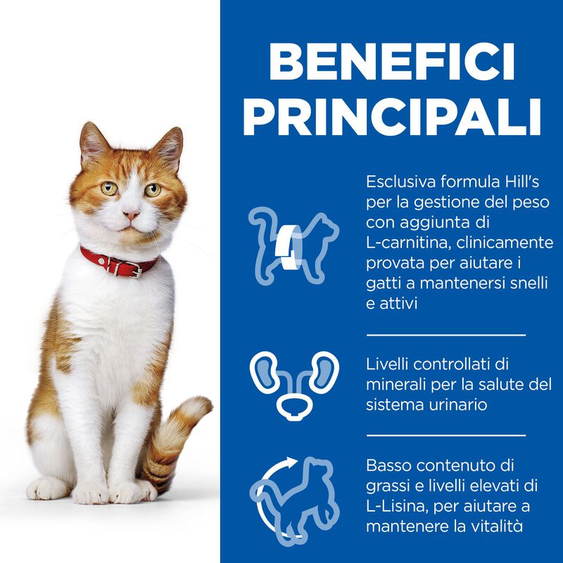 Hill's Science Plan Cat Young Adult Sterilised con Tacchino Bustina 85 gr.