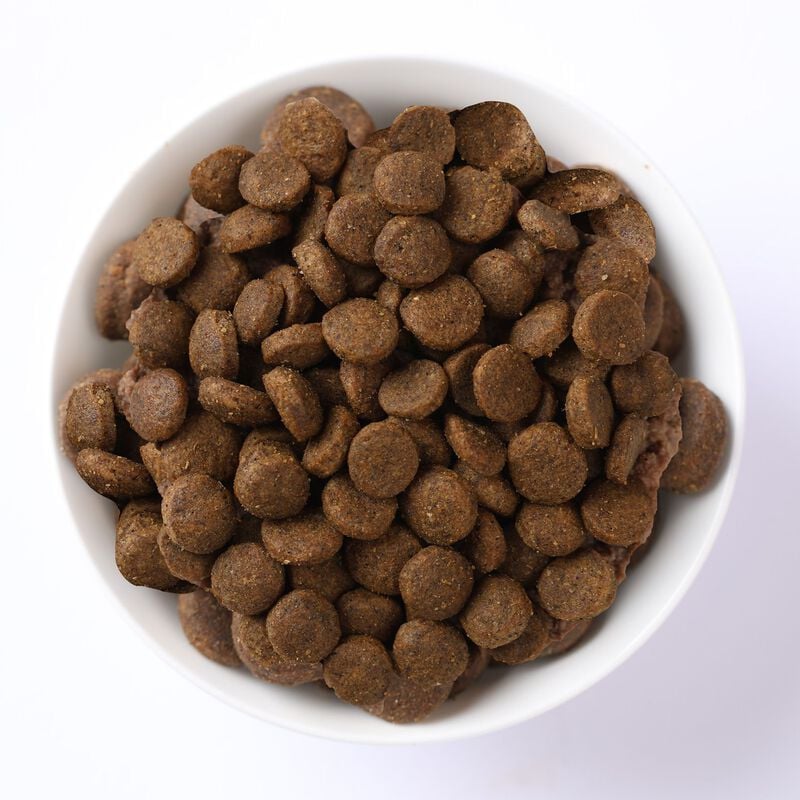 N&D Farmina Prime Cat Adult Agnello & Mirtillo 1,5 kg