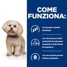 Hill's Prescription Diet Dog z/d Mini 1 kg