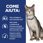 Hill's Prescription Diet Cat k/d spezzatino con tonno e verdure 82gr