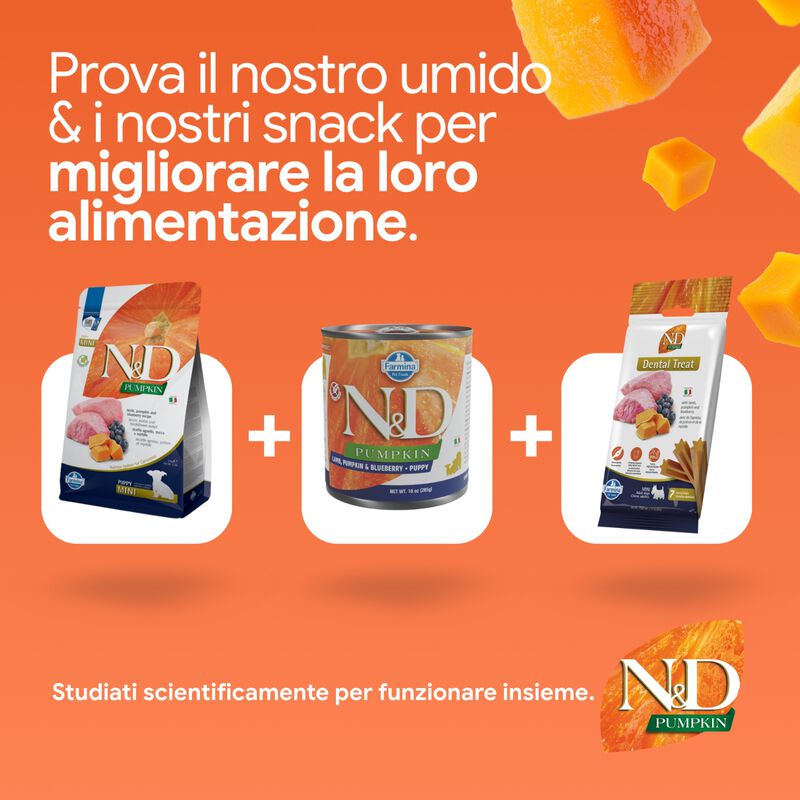 N&D Farmina Pumpkin Dog Puppy Mini Agnello e Mirtillo 2,5 kg