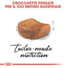 Royal Canin Cat Adult British Shorthair 2 kg