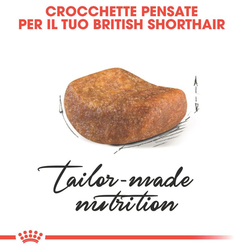 Royal Canin Cat Adult British Shorthair 2 kg