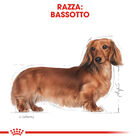 Royal Canin Dog Adult e Senior Bassotto 1,5 kg