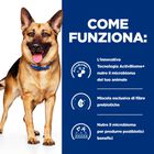 Hill's Prescription Diet Dog Gastrointestinal Biome con Pollo 370 gr