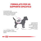 Royal Canin Veterinary Diet Dog Small Renal 1,5 kg