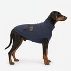 Camon Maglioncino per cani Blue patch tg. 40 Blu
