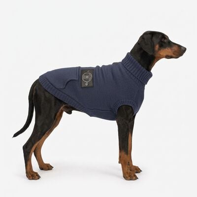 Camon Maglioncino per cani Blue patch tg. 40 Blu
