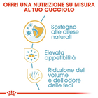 Royal Canin Dog Puppy Chihuahua 500 gr