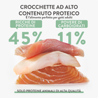 Schesir Born Carnivore Kitten Pollo con Uovo 255gr