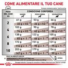 Royal Canin Veterinary Diet Dog Adult Small Gastrointestinal Low Fat 3,5 kg