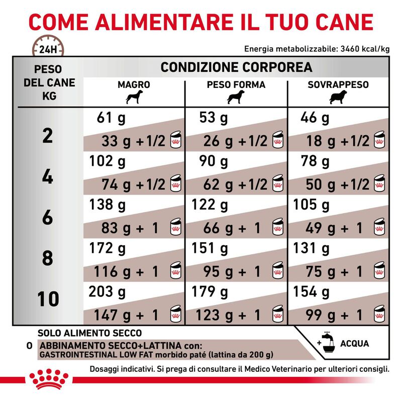 Royal Canin Veterinary Diet Dog Adult Small Gastrointestinal Low Fat 3,5 kg