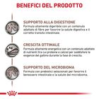 Royal Canin Veterinary Diet Cat Kitten Gastrointestinal 400 gr