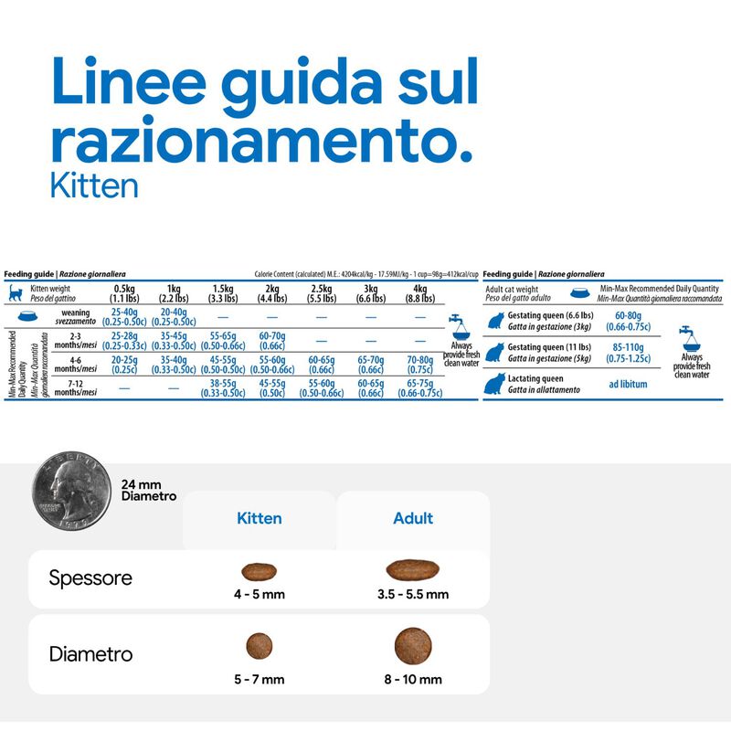 N&D Farmina Ocean Kitten Merluzzo, Gamberetti, Zucca e Cantalupo 300 gr