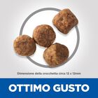 Hill's Science Plan Dog Medium Mature Adult 7+ con Pollo 2,5 kg