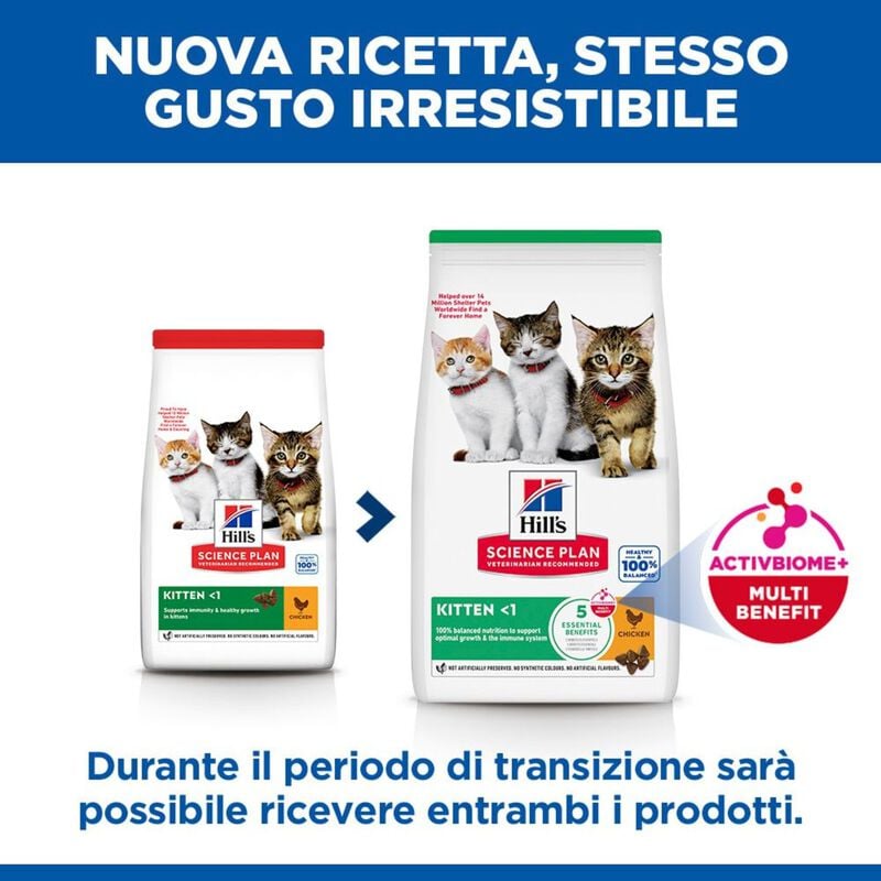 Hill's Science Plan Cat Kitten al Pollo 300 gr