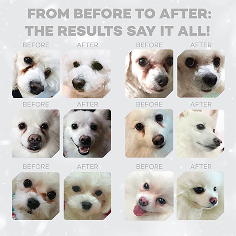 Nature's Protection Superior Care Dog Adult Small & Mini con Pelo Bianco al Pesce bianco 10 kg