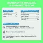 Schesir Cat Tonnetto con Pesce Azzurro in Brodo 70g Schesir Cat Tonnetto con Pesce Azzurro in Brodo 70g