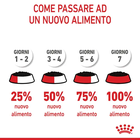 Royal Canin Cat Kitten Salsa 85 gr