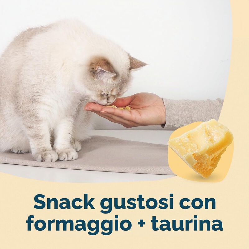Gimcat Nutri Taurine Bites Snack per gatti Formaggio 40 gr