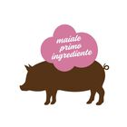 Stuzzy Dog Monoprotein Maiale 100 gr