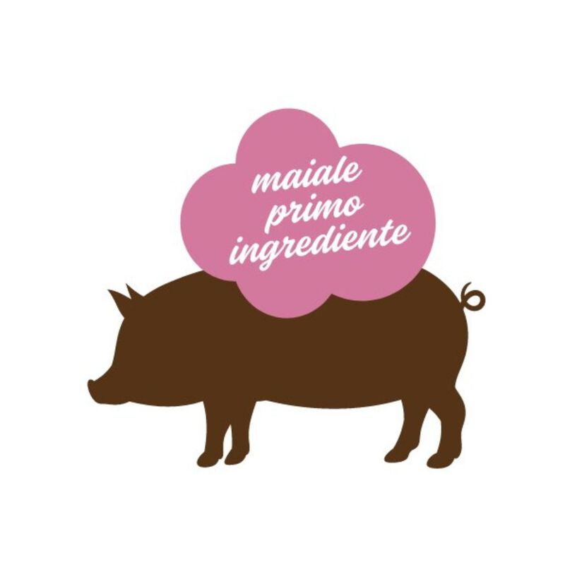 Stuzzy Dog Monoprotein Maiale 100 gr