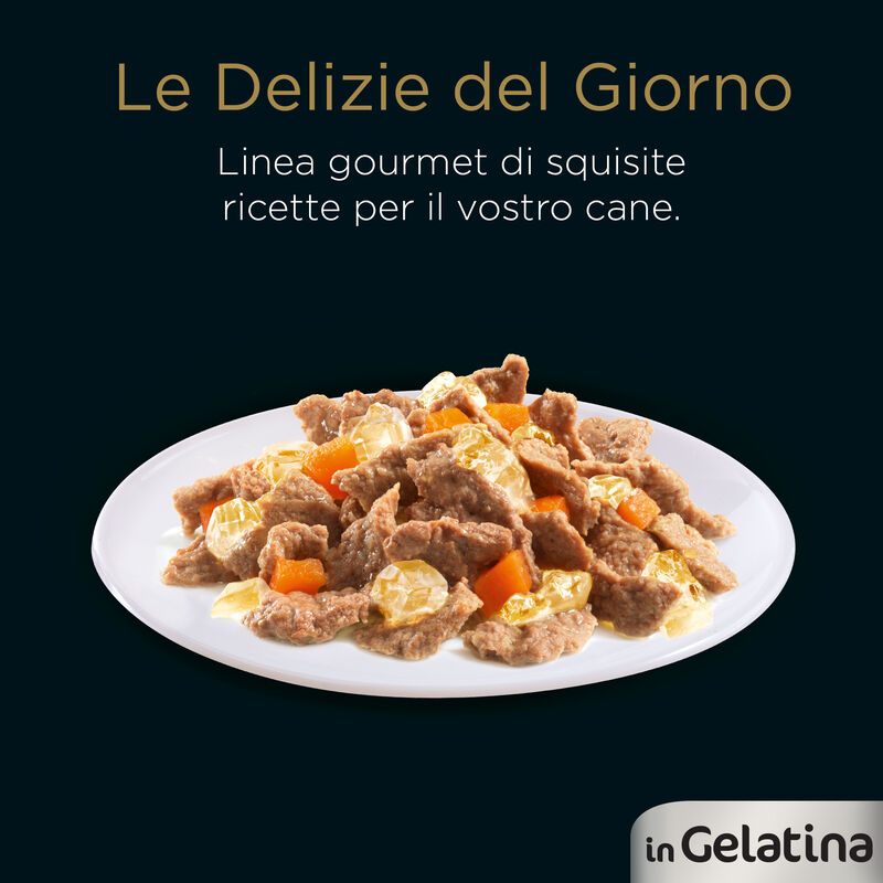Cesar Dog Delizie del Giorno Multipack Pollo e Carote e Manzo e Verdure in Gelatina 4x100 gr