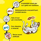 Catisfactions Snack Cat Pollo e Anatra 60 gr