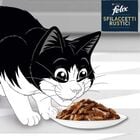 Purina Felix Sfilaccetti Rustici Cat Adult con Tonno 80 gr