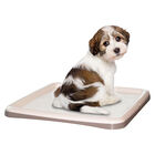 Petup  Tip&Tap Portatappetino per addestramento cuccioli 60x60cm image number 0