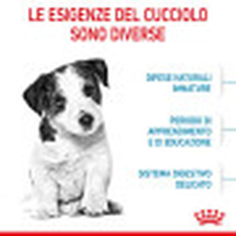 Royal Canin Dog Mini Puppy 4 kg