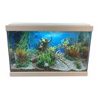 Askoll Decorazione per acquario Rana 6,5x5x4,5 cm Askoll Decorazione per acquario Rana 6,5x5x4,5 cm