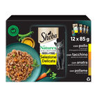 Sheba Nature's Collection Selezione Delicata in gelatina 12x85 gr