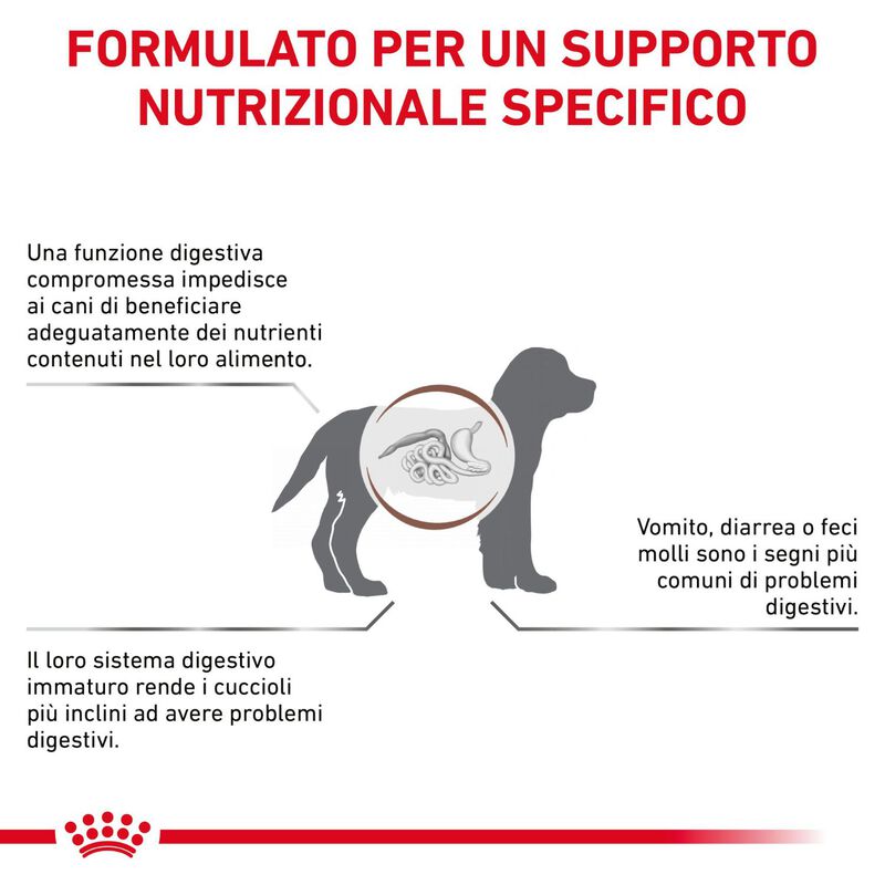 Royal Canin Veterinary Diet Dog Puppy Gastrointestinal 10 kg