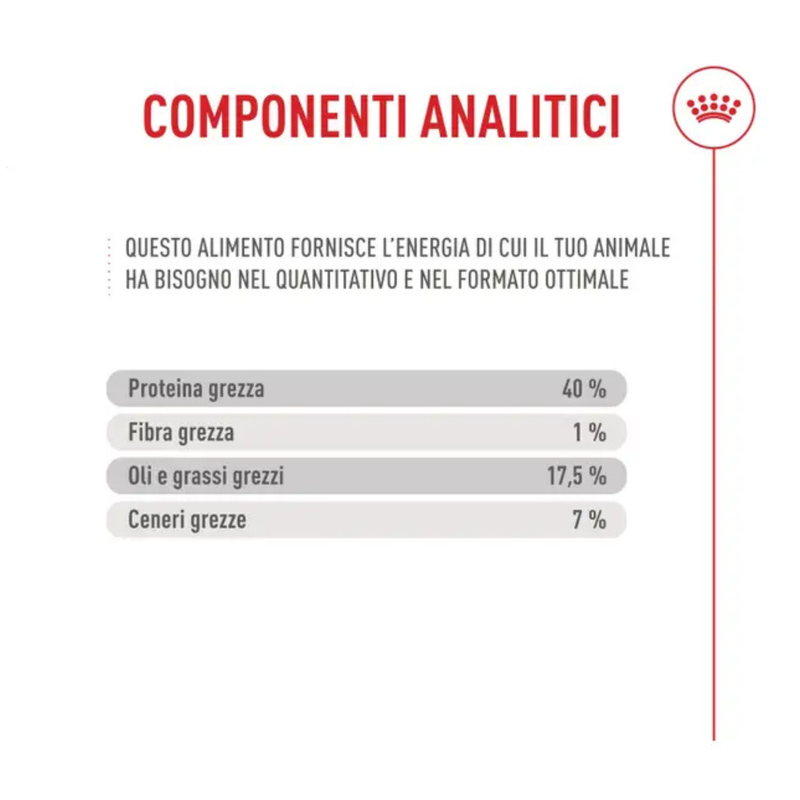 Royal Canin Cat Fussy Exigent 400gr