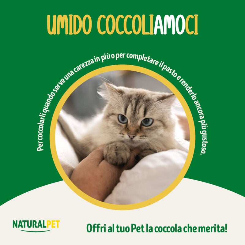 Naturalpet Cat Adult Zuppa con Tonno e Ananas 70 g