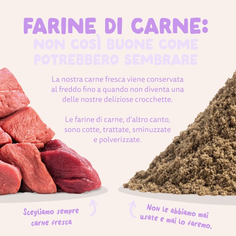 Edgard & Cooper Crocchette per cani adulti Anatra 2,5 kg